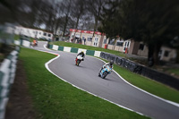 Lower Group Blue Bikes